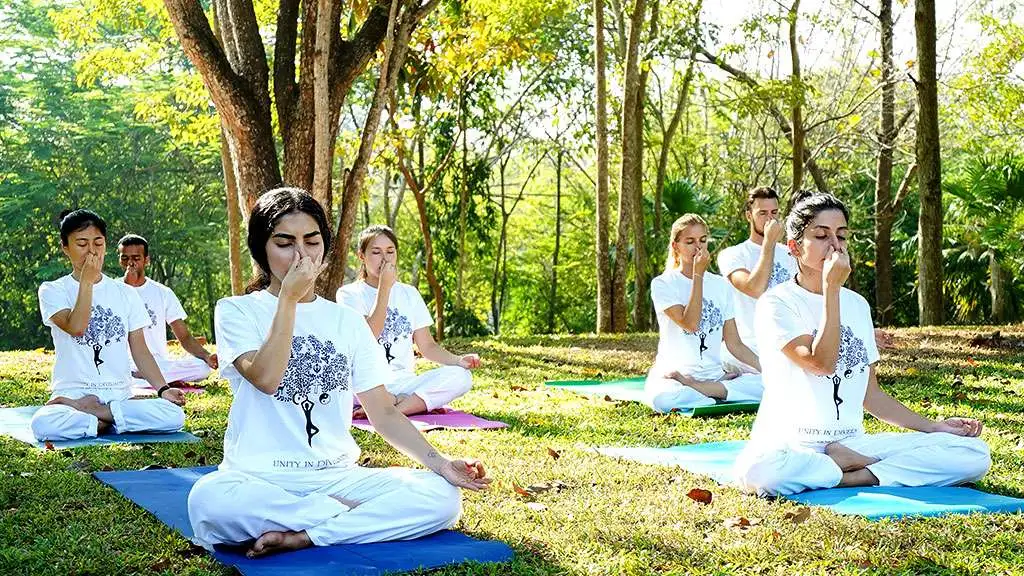 yoga teacher training in goa 200 hours