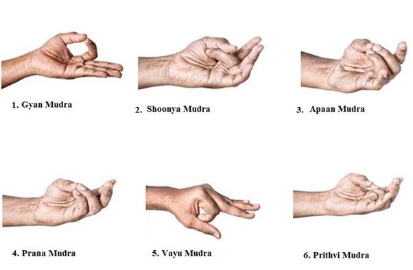 hand mudras chart