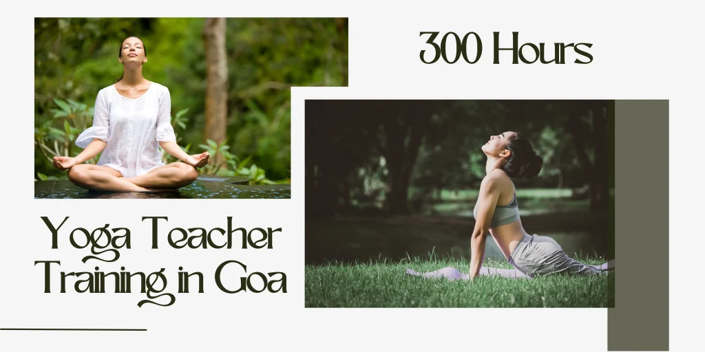 300 Hour Yoga Teacher Training in Goa [2024 Updated]