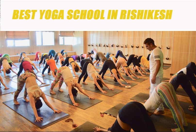 yoga teacher training in rishikesh best yoga teacher training in rishikesh yoga training in rishikesh