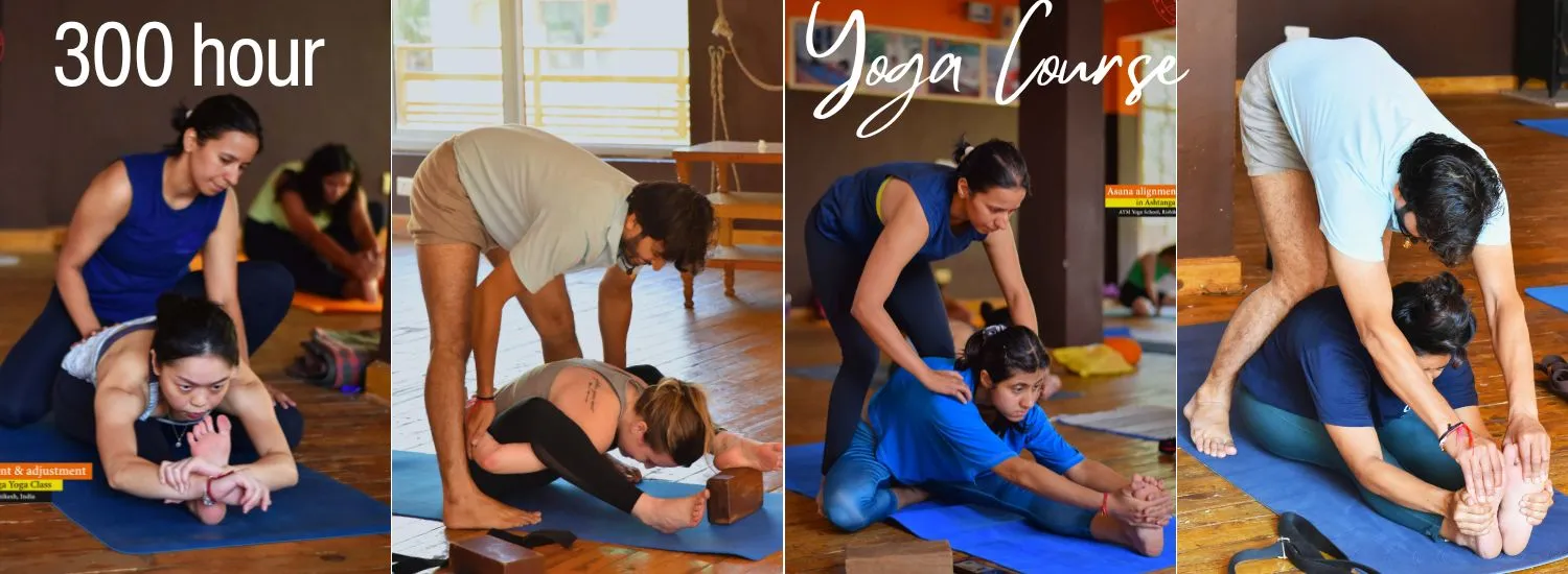 300 hour Yoga Teacher Training in India