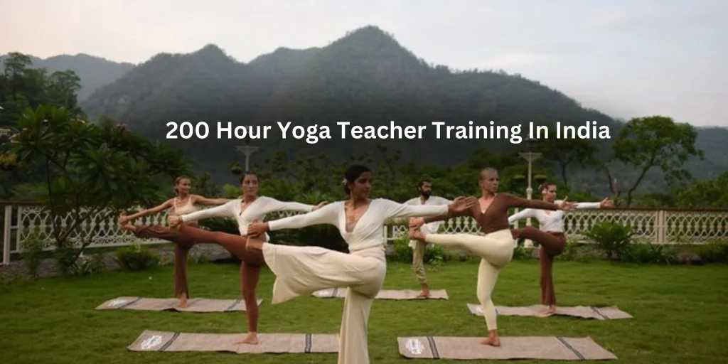 200 Hour Yoga Teacher Training in India - Complete Guide [2024]